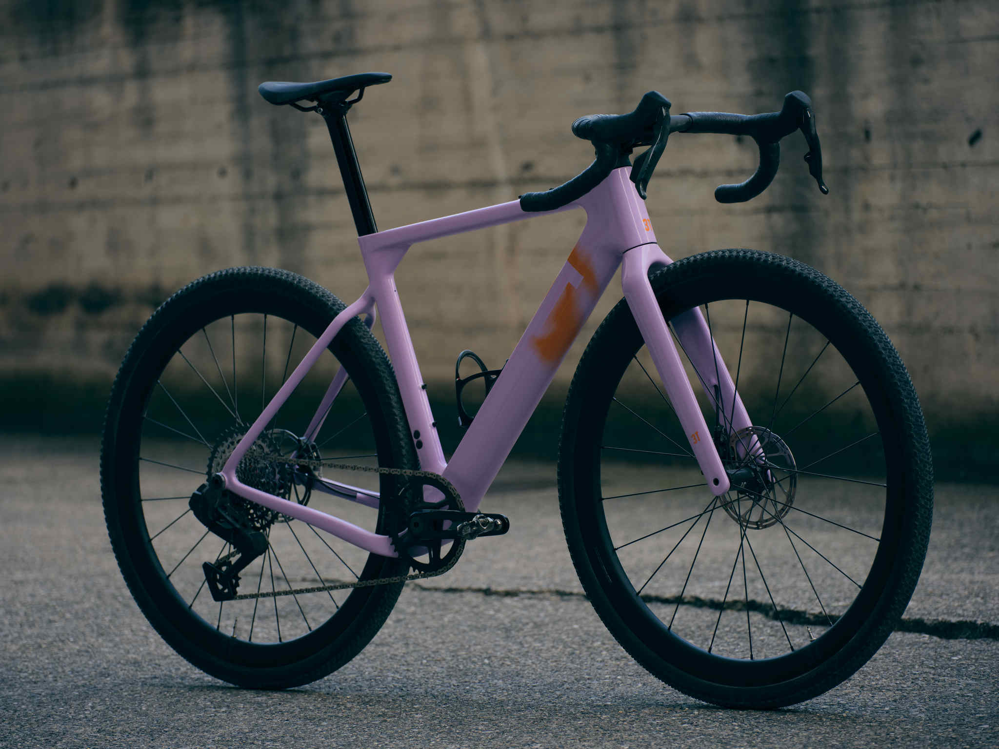 Primo² WPNT - Orchidea